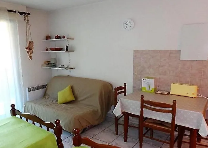アパート Cosy Avec Parking A 50m Des Thermes, 2 Couchages - Amelie-les-bains - Fr-1-703-55 *